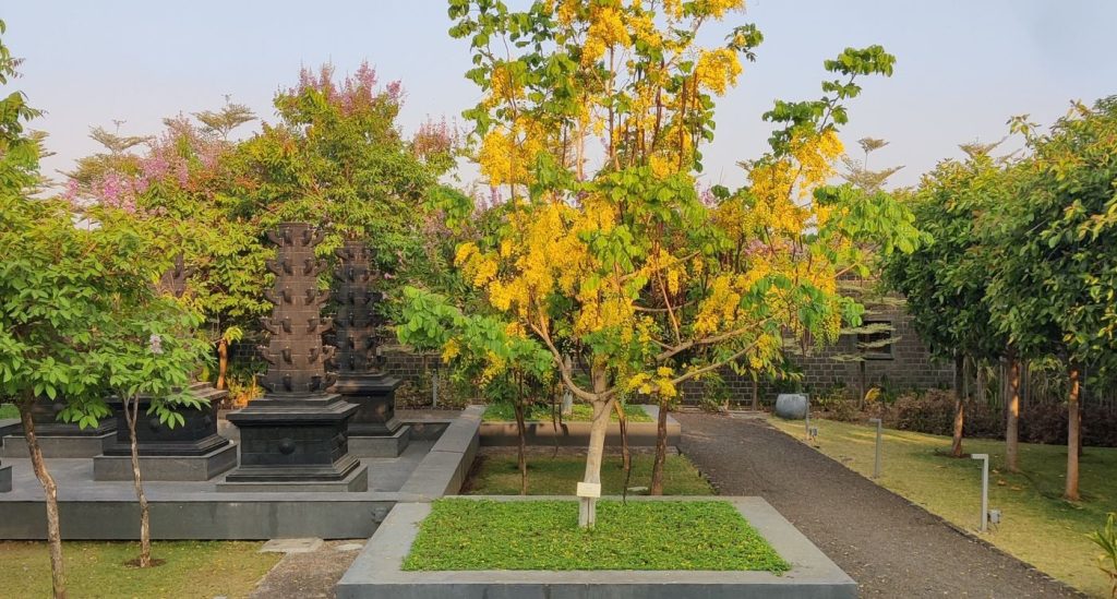 wellness retreat near Mumbai, Viveda wellness